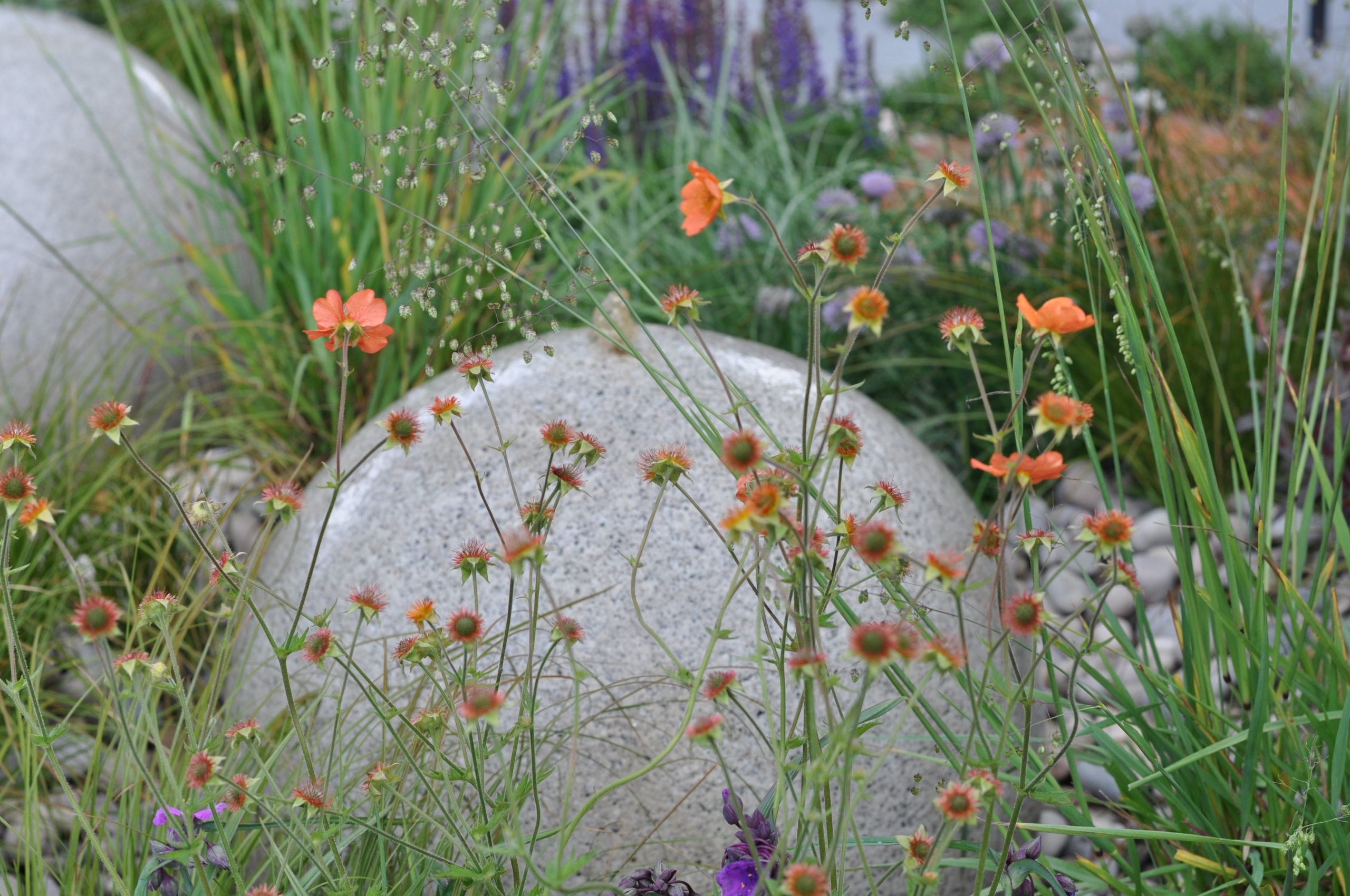 MJM STUDIO - GARDEN DESIGN
