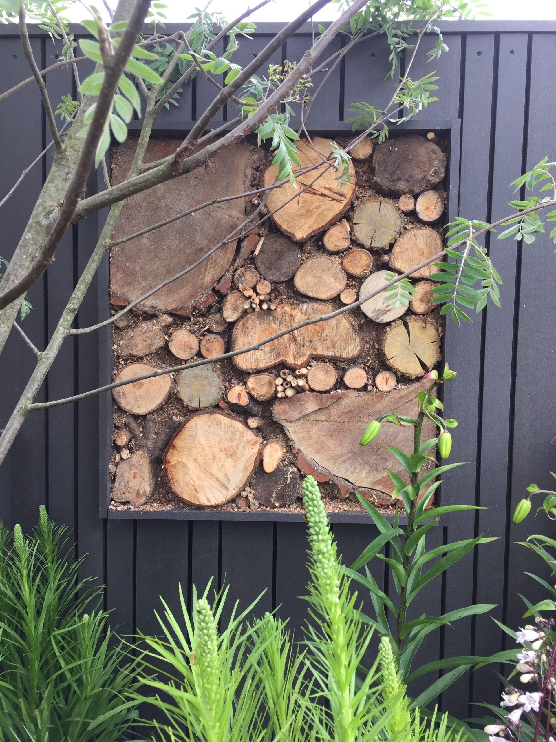 MJM STUDIO - GARDEN DESIGN