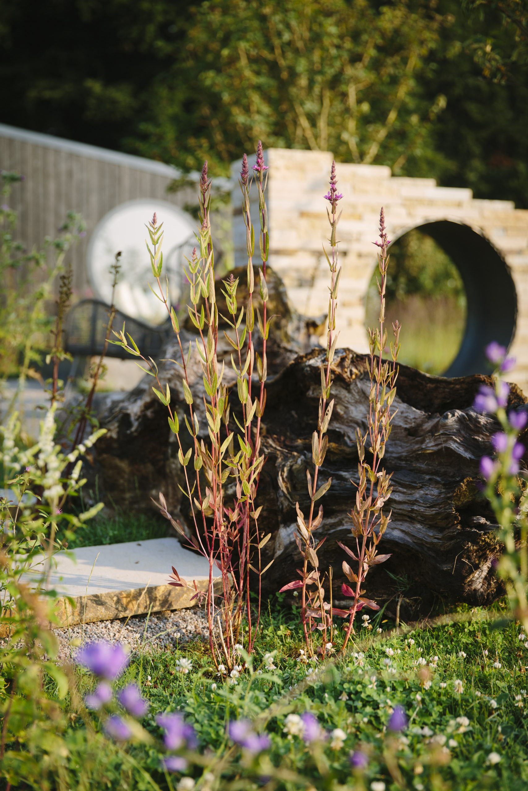 MJM STUDIO - Landscape Design Studio in Cheshire