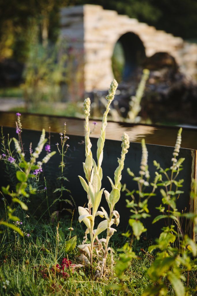 MJM STUDIO - Landscape Design Studio in Cheshire